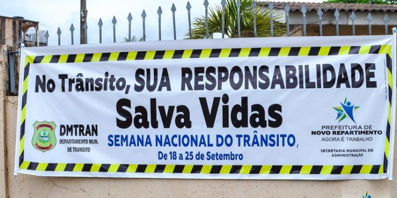 Imagem da Publicação